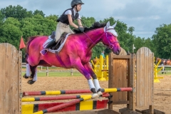 Horse of a Different Color - Barry Mullin - SPCC