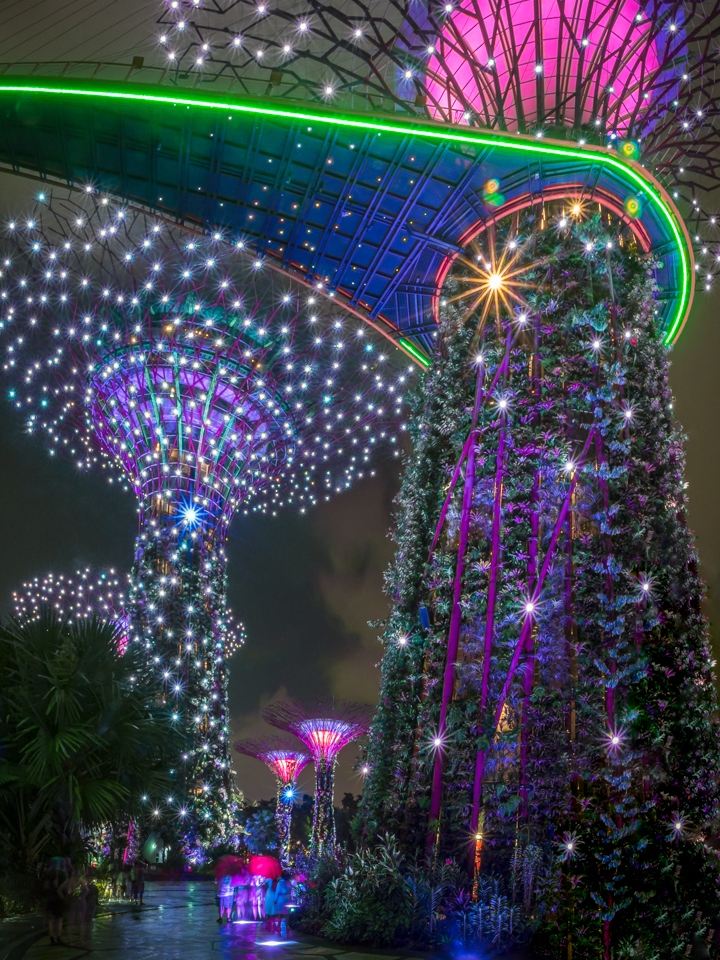 Rainy Evening in the Super Grove - Singapore- Cindy Carsson - SPCC