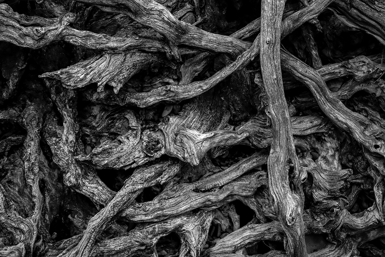 Driftwood Maze - Peter Rose - MCC