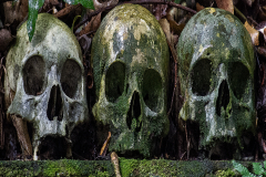 Not All Dead Are Buried - Marv Vikla - SPCC