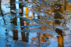 Icy Suface - Shakun Maheshwari - MCC