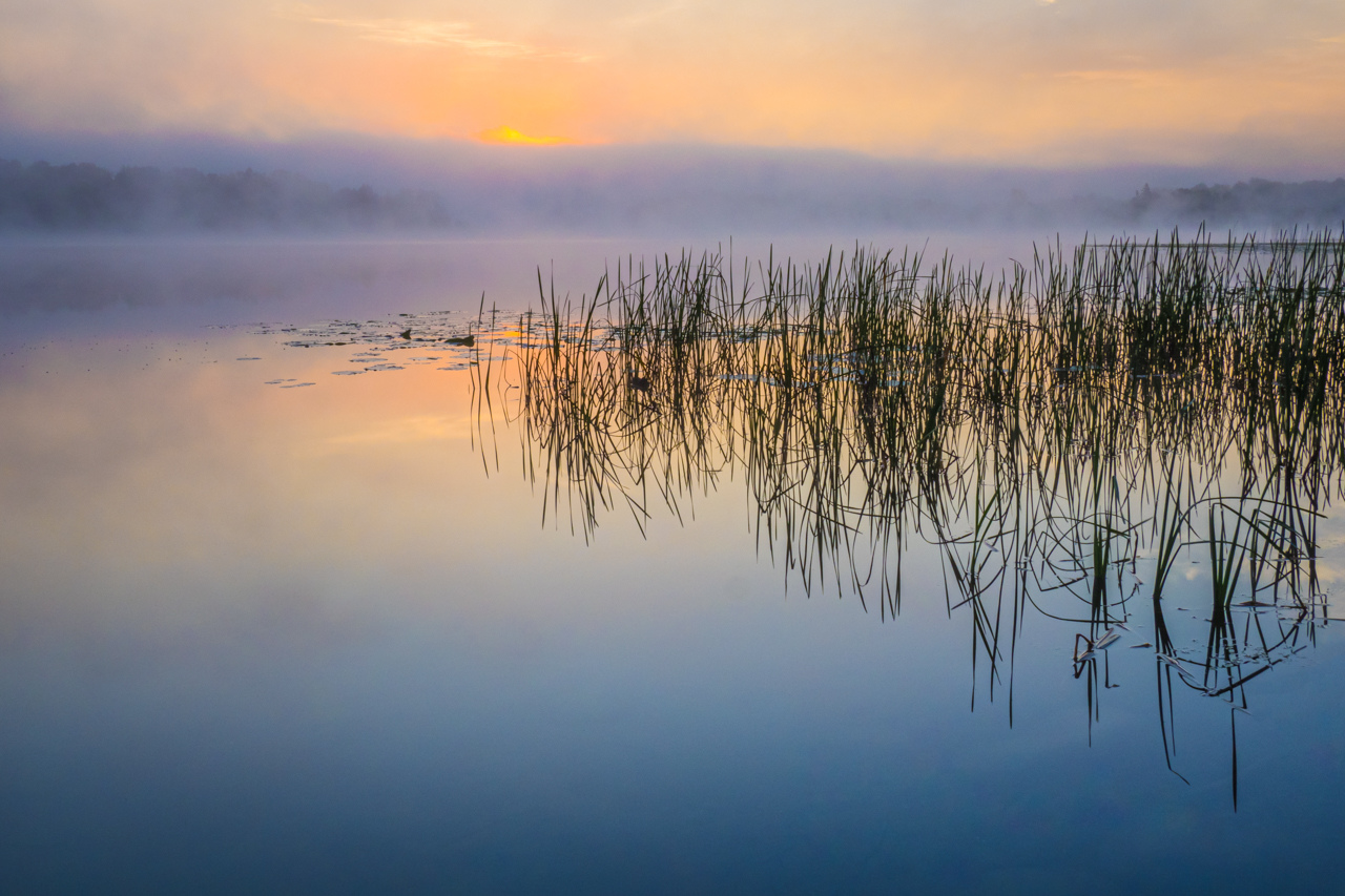 Award - Foggy Sunrise at Lake Wabana - Cindy Carlsson - St. Paul Camera Club