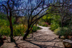 Tucson Botanical - Ronald Lagerquist - MNPC