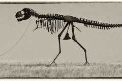 Man's Best Friend - Craig Peterson - MVPC