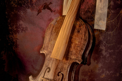 Silent Fiddle - Linda Rutherford - WCPC