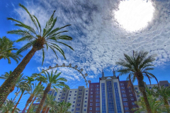 Vegas - Dawn Otremba - SCVCC