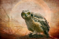 Who Said Who - Marilyn Victor - WCPC