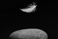 Dancing on the Wind - Luann Thatcher - NMPC