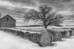 Winter Storage - Marianne Diericks - WWPC