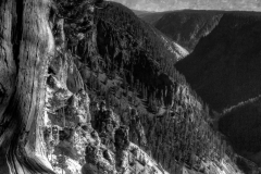 Yellowstone River - Craig Peterson - MVPC