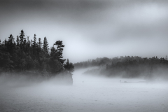 Ellingson Fog - Deanne Probst - MNPC