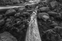 Fallen - Levi Janssen - MCC