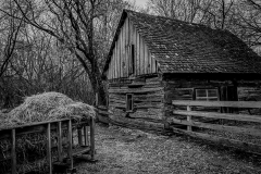 Feed Shed - Peter Rose - MCC