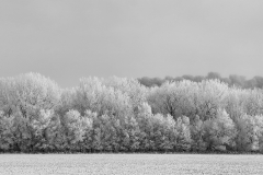 Hoarfrost - Terri Michels - BRPC