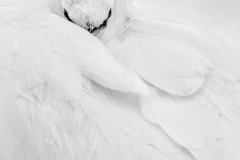 Keeping Warm - Linda Rutherford - WCPC