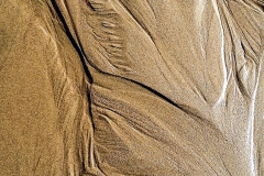 White and Tan Sand Lines - Rich Roberts - MVPC