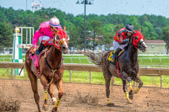 Down the Stretch - Ali Plevell - FSSPCC