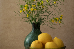 Lemons and Yellow Flowers - Margaret Boike - SCVCC