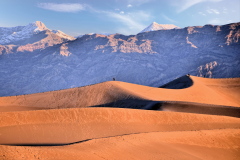 Mesquite Dunes - Phil Davies - MVPC