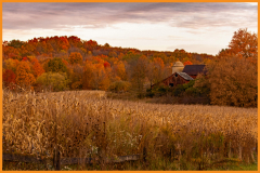 Morning Glory - Nick Capra - MCC