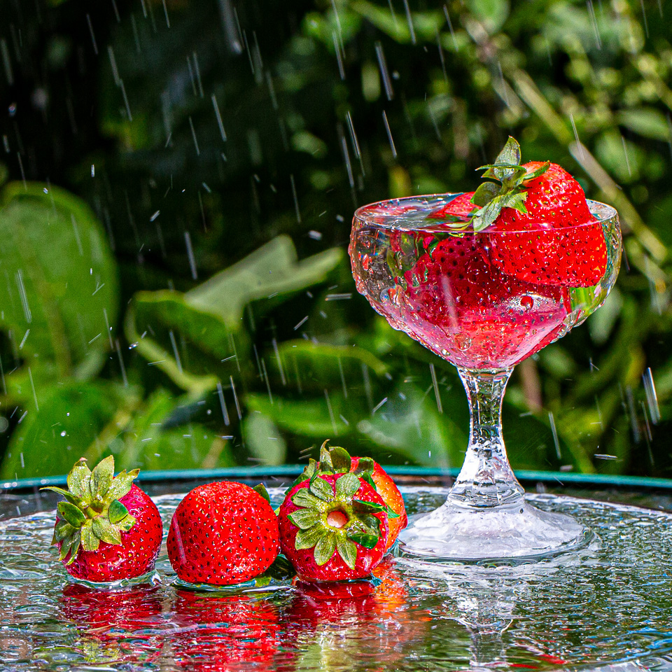 Strawberries in the Rain - Marilyn Victor - WCPC