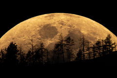 Moon Over Timberline - Craig Peterson - MVPC