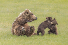 Behave Boys! - Melissa Anderson - WWPC