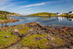 Newfoundland Shores - Marilyn Victor - WCPC