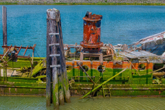 Honorable-Mention-Mary-D-Hume-Barry-Mullin-Tamarack-Nature-Center-Photography-Club